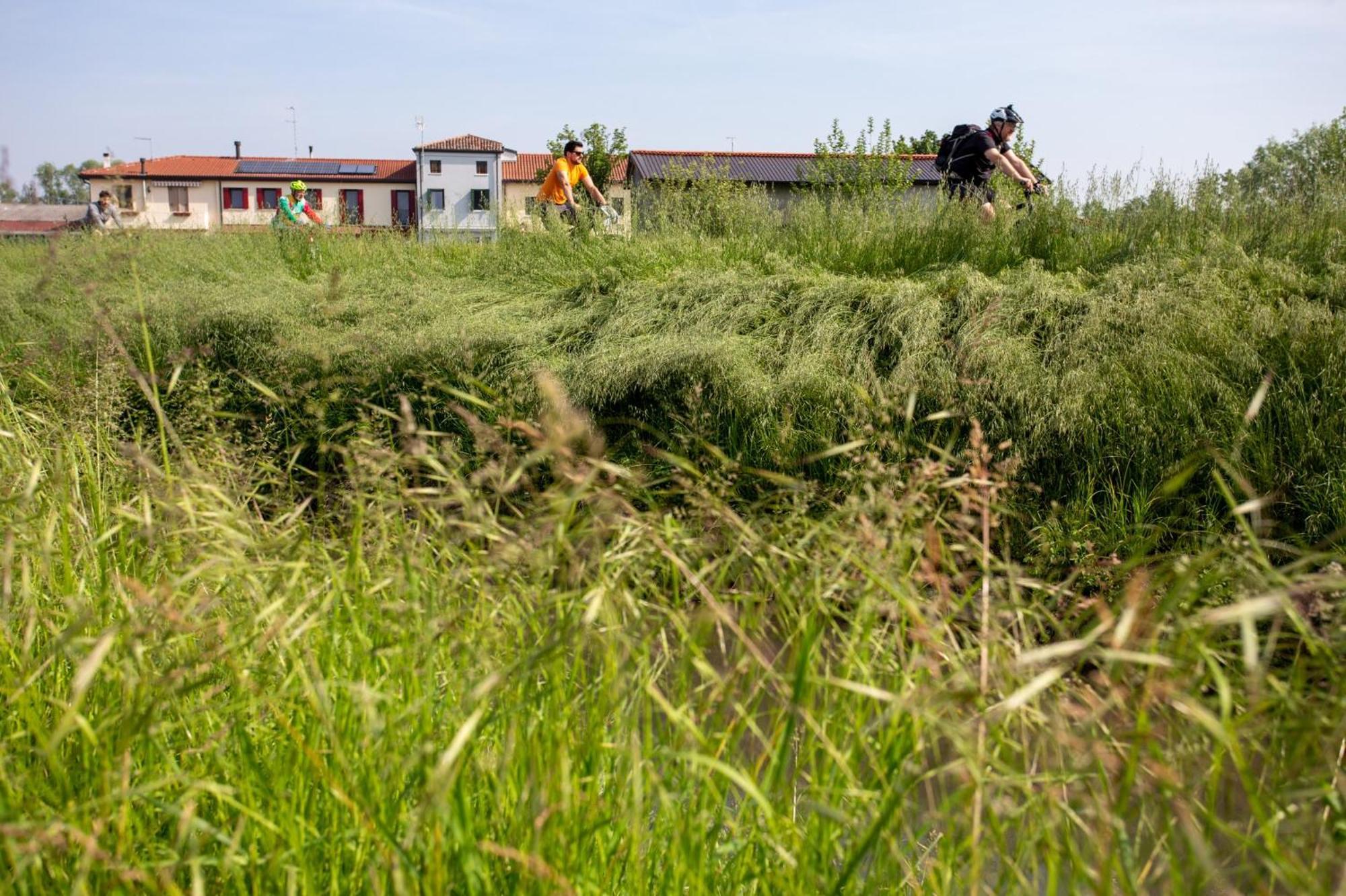 Agriturismo Al Botteniga Treviso Dış mekan fotoğraf