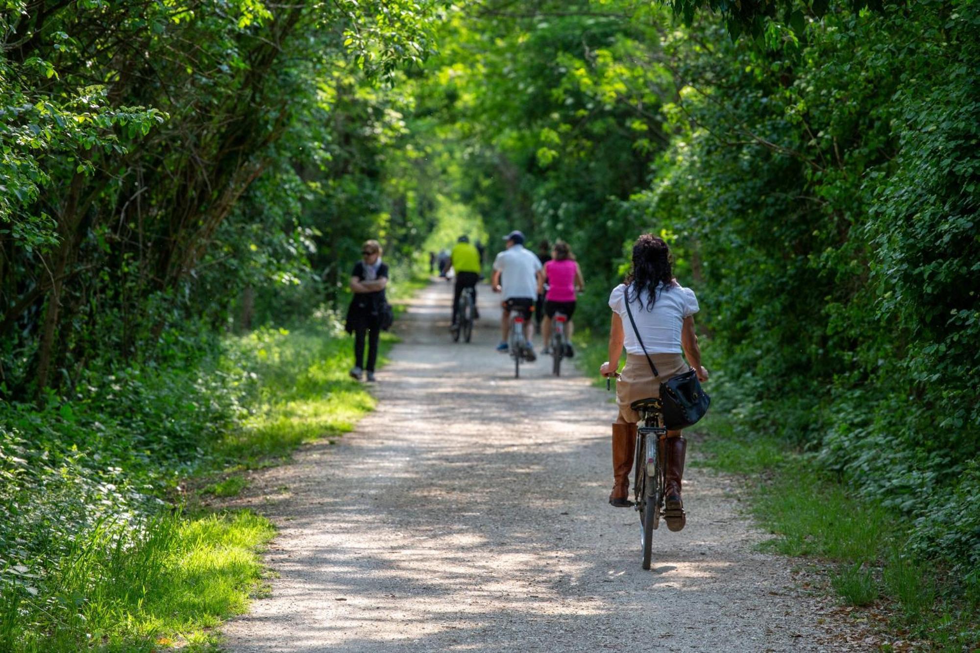 Agriturismo Al Botteniga Treviso Dış mekan fotoğraf