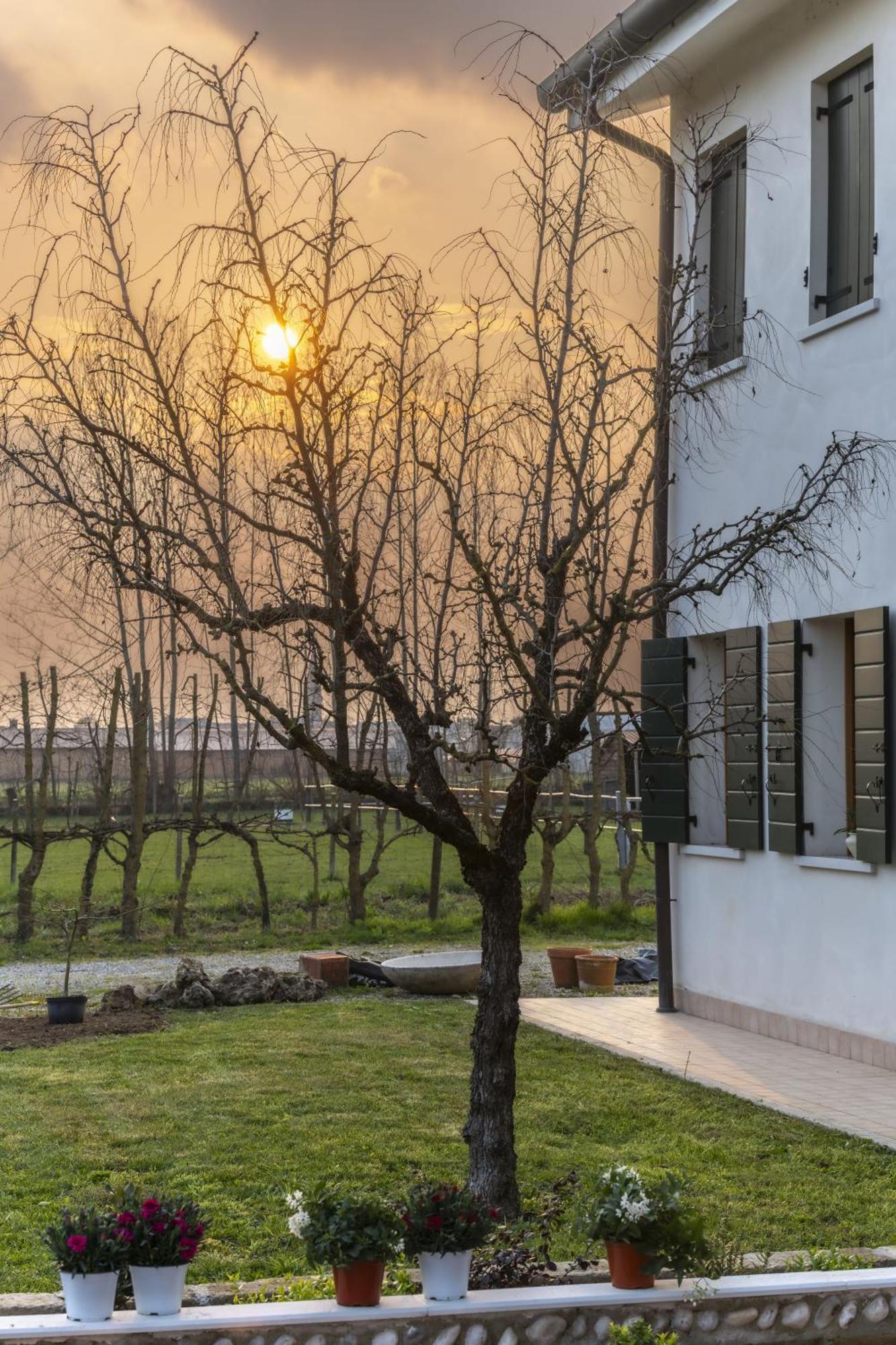 Agriturismo Al Botteniga Treviso Dış mekan fotoğraf