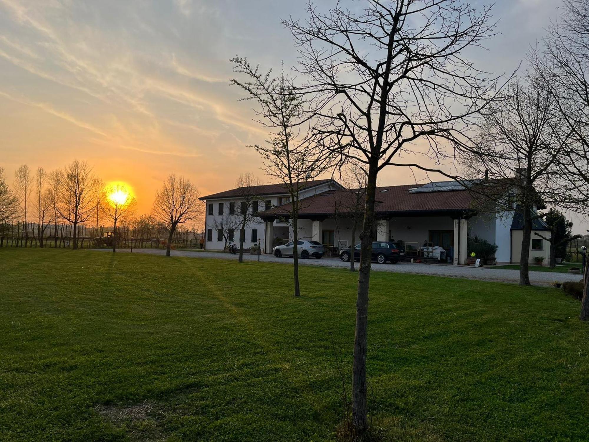 Agriturismo Al Botteniga Treviso Dış mekan fotoğraf