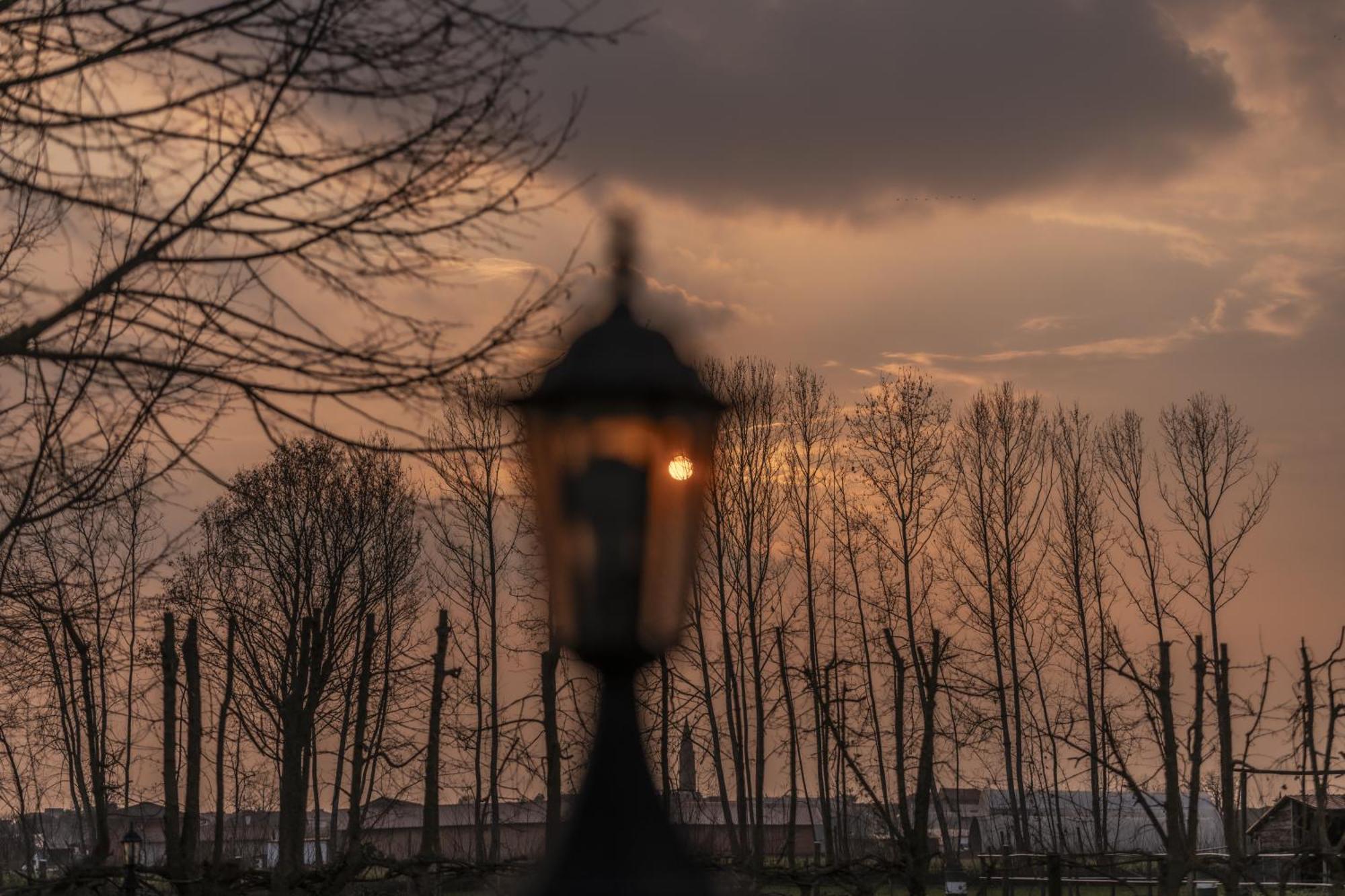 Agriturismo Al Botteniga Treviso Dış mekan fotoğraf