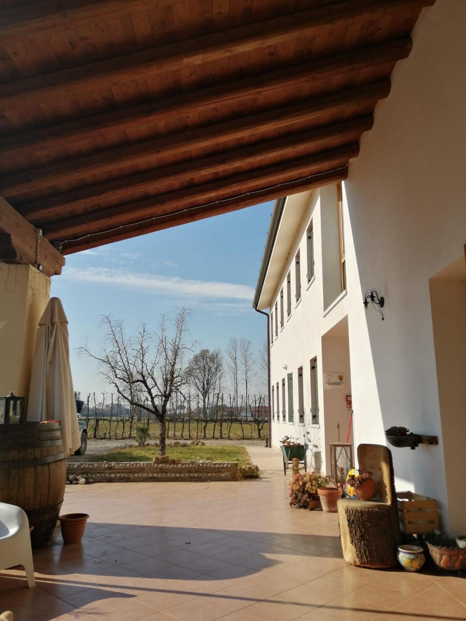 Agriturismo Al Botteniga Treviso Dış mekan fotoğraf