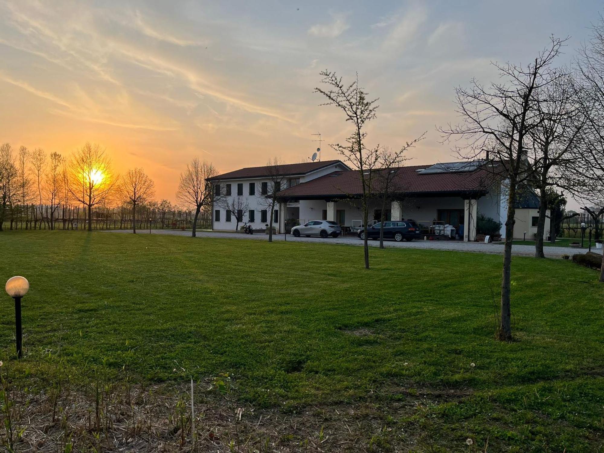 Agriturismo Al Botteniga Treviso Dış mekan fotoğraf