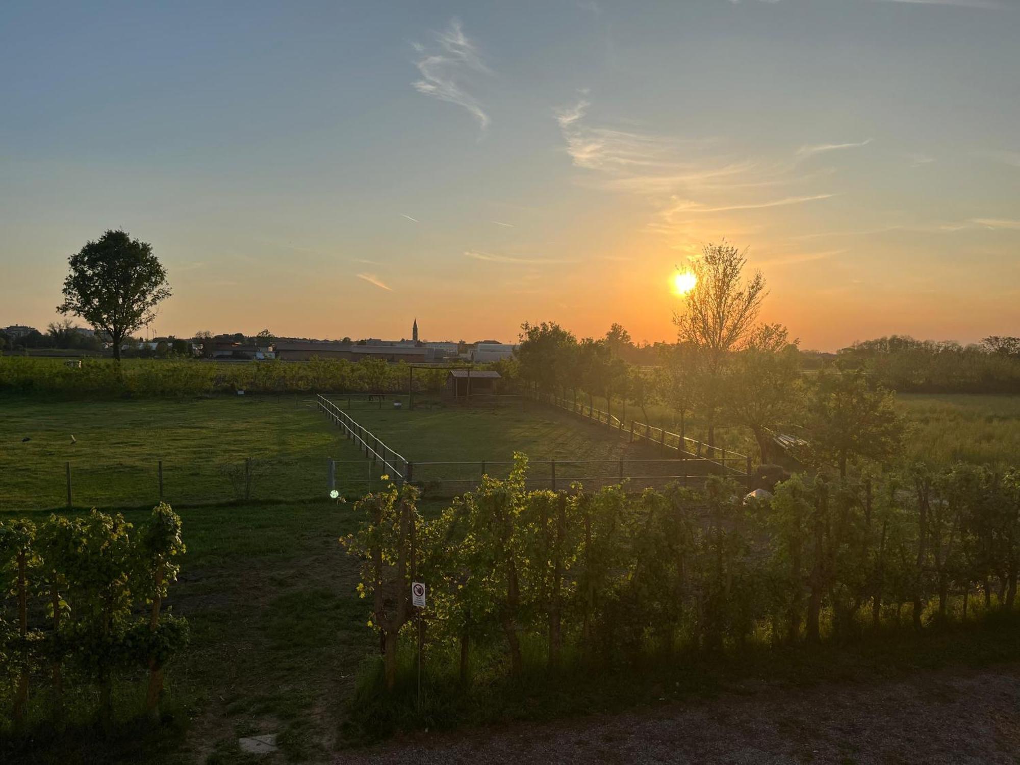 Agriturismo Al Botteniga Treviso Dış mekan fotoğraf