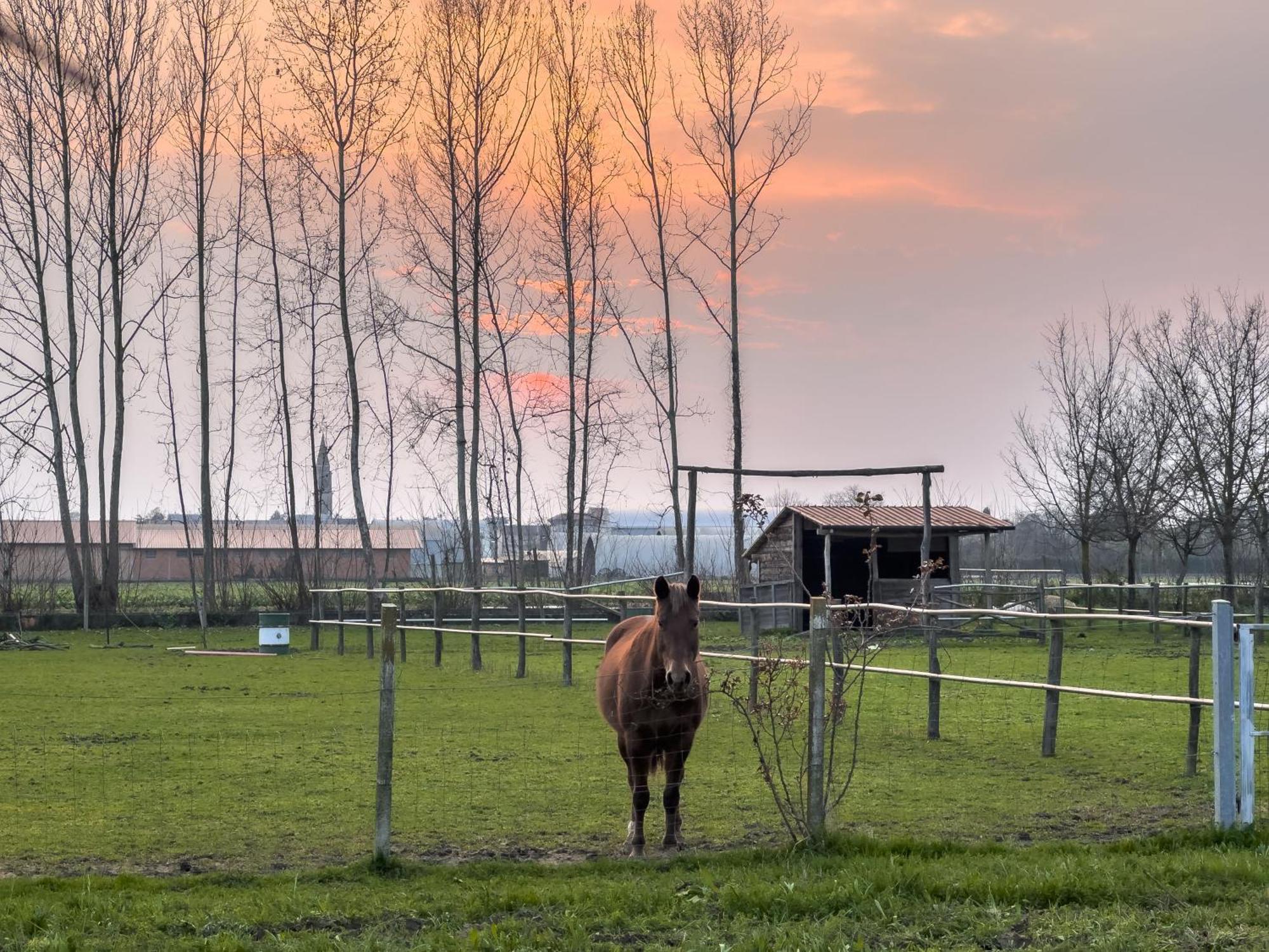 Agriturismo Al Botteniga Villa Treviso Dış mekan fotoğraf